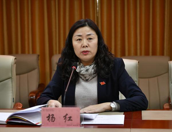 杨红部长布置工作__.jpg