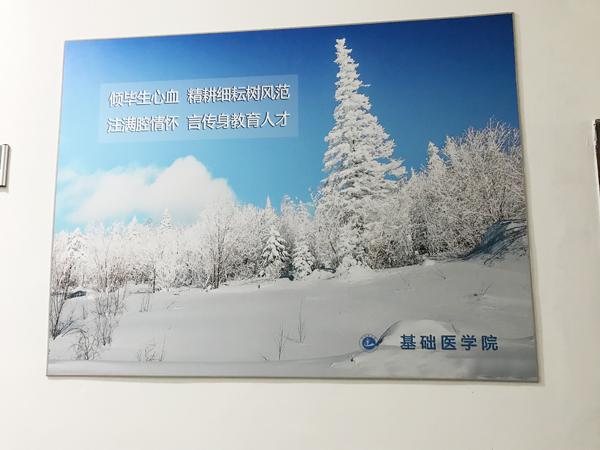 廉政文化走廊展板照片 (1)__.jpg