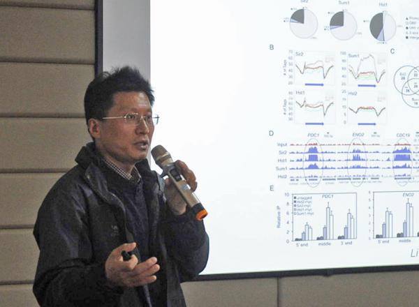 李明光教授作报告__.jpg