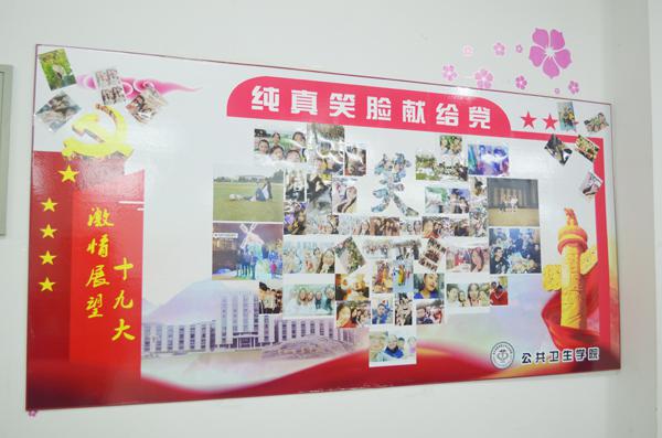 精彩展示__.jpg