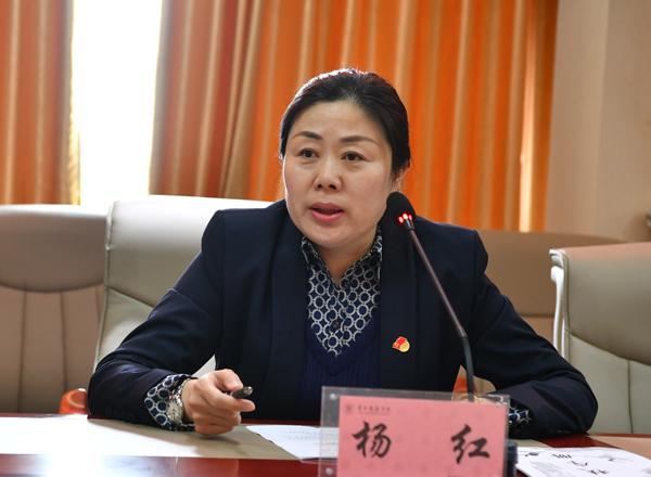 杨红部长主持会议__.jpg