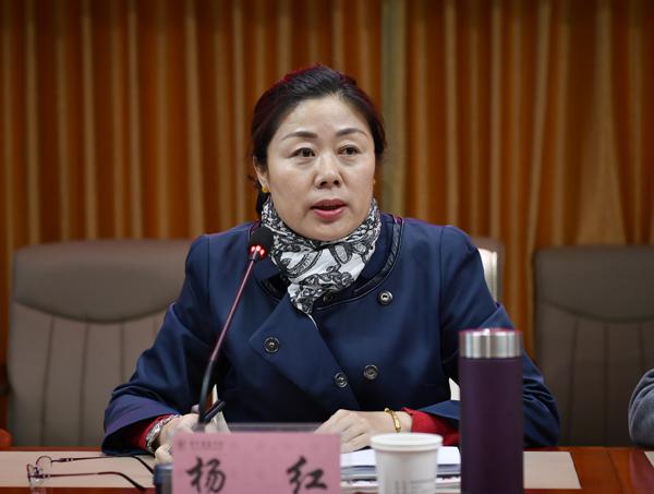 2杨红部长主持会议__.jpg
