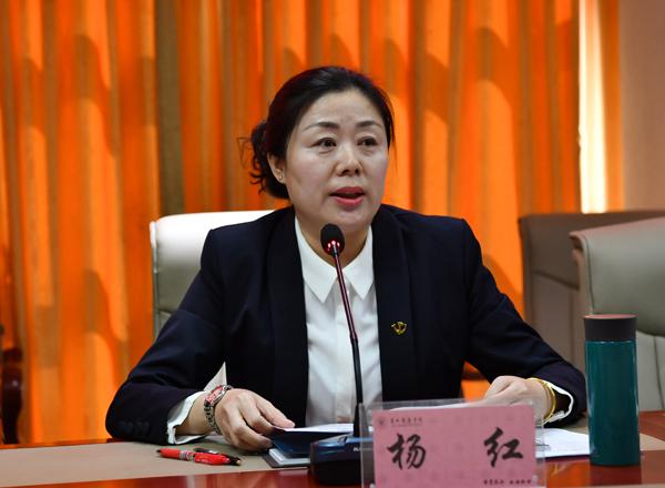 杨红部长主持会议__.jpg